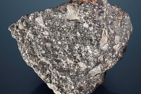 A meteorite found in the Sahara Desert, valued at more than $2.5 million.