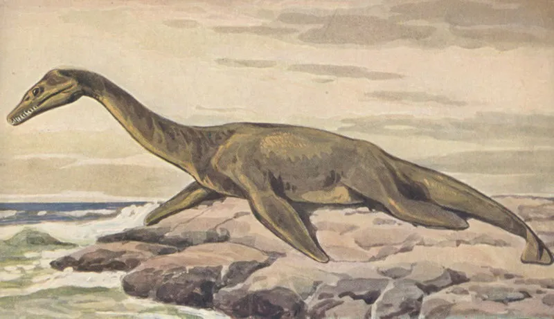 An artist’s depiction of a Plesiosaur, the same species Nessie reportedly belongs to.