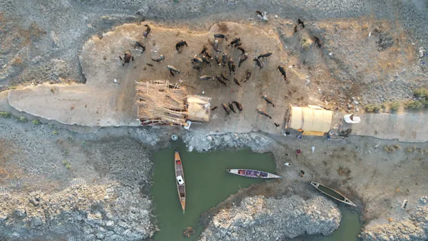 The Last Pools thumbnail