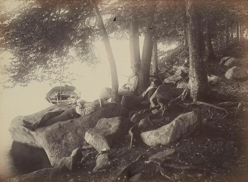 Group on Petria