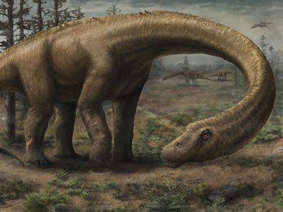 Artist's rendering of Dreadnoughtus schrani 