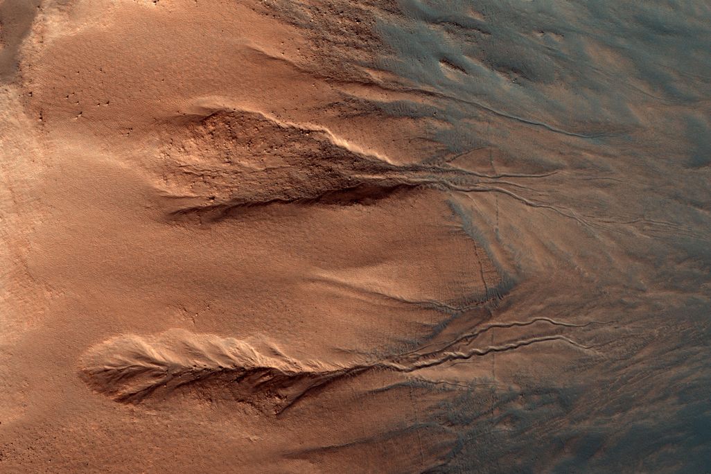 32408000070_0b936c1313_o.jpg