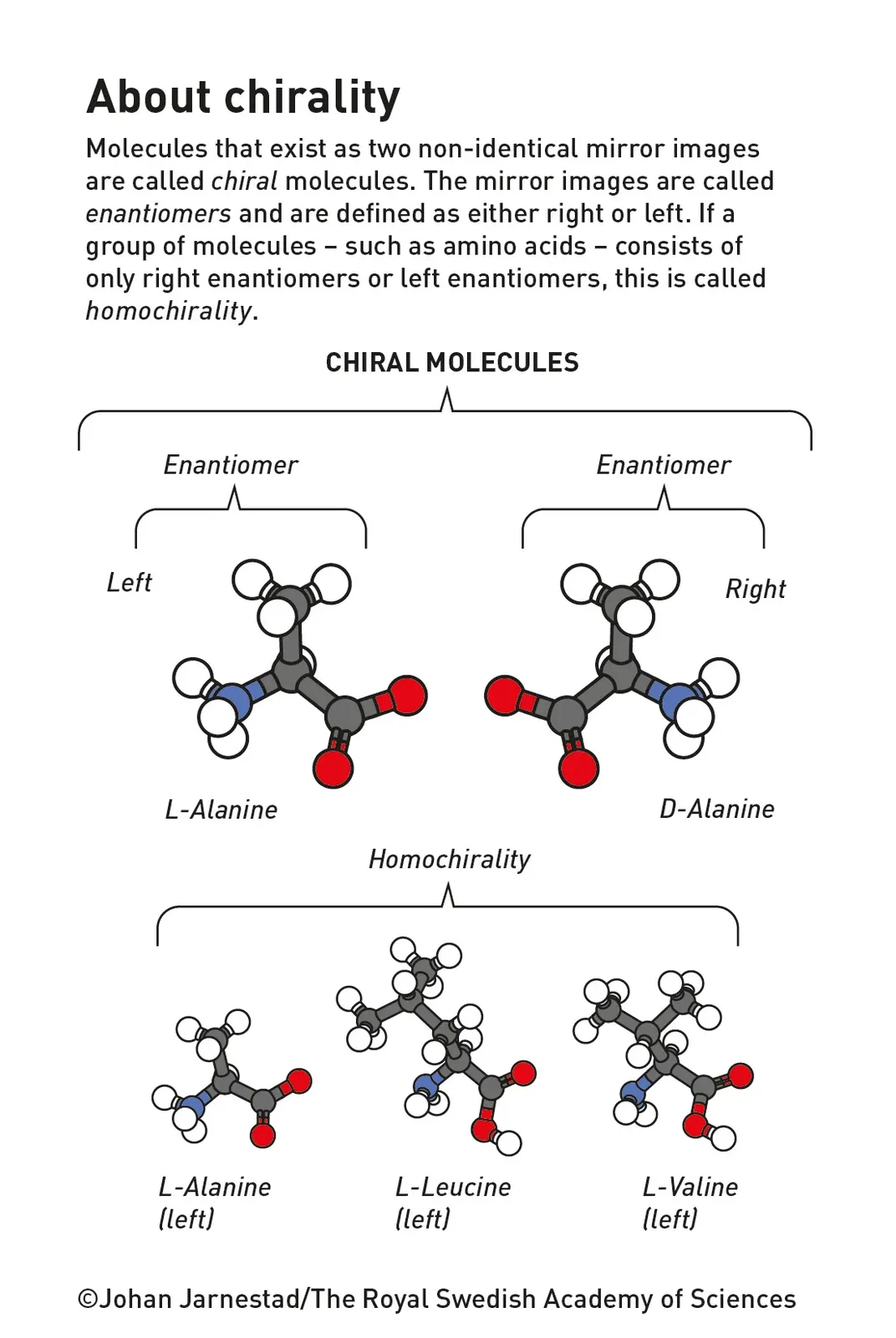 Diagram explaining chirality and homochirality with visual examples