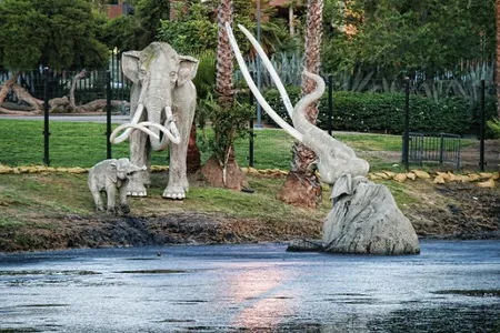 A fake mastodon fights for survival in a display at the La Brea tar pits.
