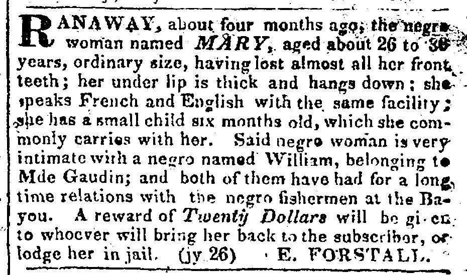 fugitive slave ads 3