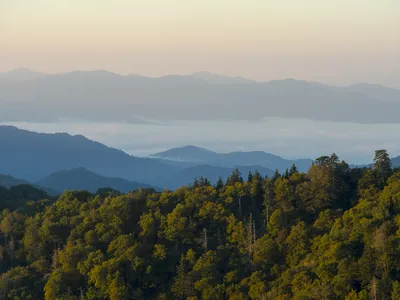Great Smoky Mountains National Park, which stretches across North Carolina and Tennessee, was the most-visited park of 2023.