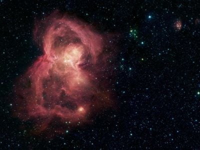 Scientists suggest finding extraterrestial intelligence is more likely than thought, arguing that complex life is not a cosmic fluke.