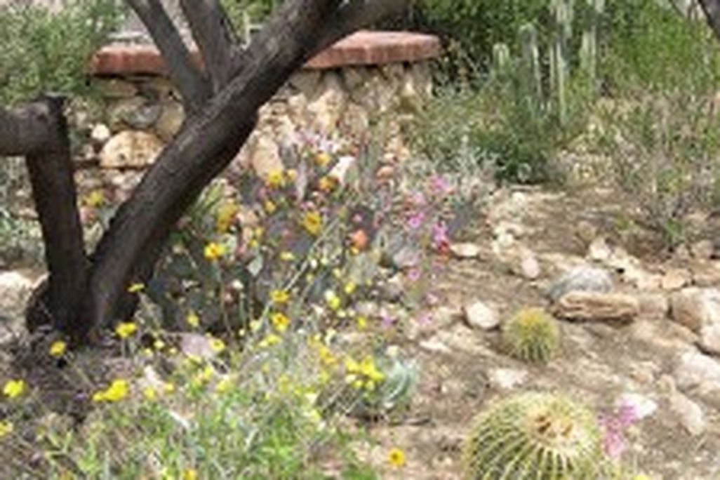 20110520102317xeriscape-225x300.jpg