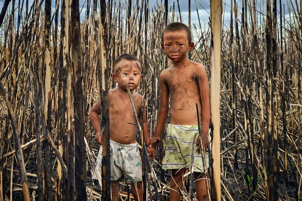 Inquisitive Gaze thumbnail