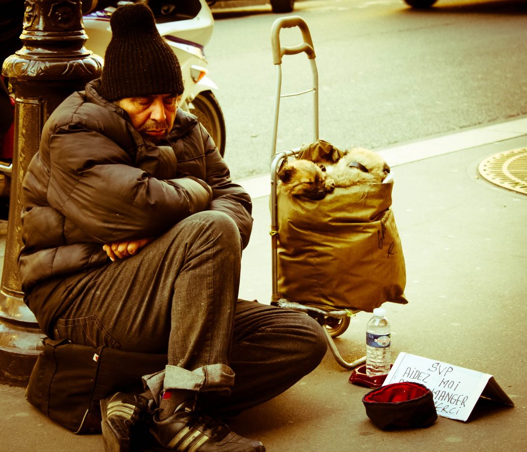 Homeless man with homeless puppies. | Smithsonian Photo Contest ...