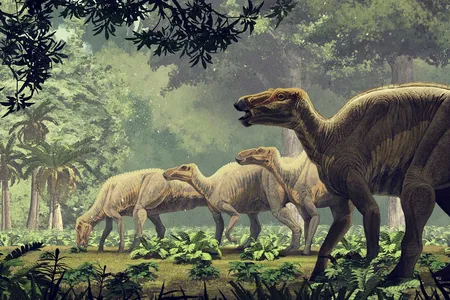An&nbsp;Edmontosaurus&nbsp;herd grazes in a forest.