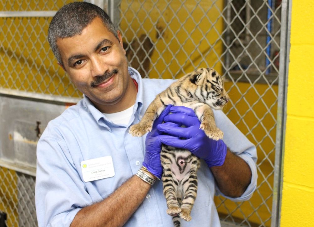 Craig with cub 4 days (14, July 2017).jpg