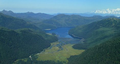 Greenland may eventually resemble the lush Tongass National Forest in Alaska.