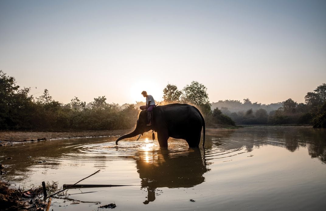 A mahout takes an elephant for a sunrise bath at the Myaing Hay Wun Elephant Camp.