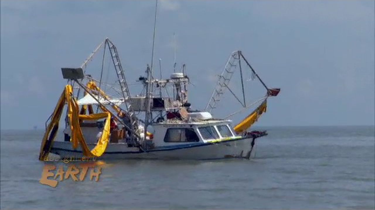 Preview thumbnail for Alaskan Natives See Gulf Oil Damage