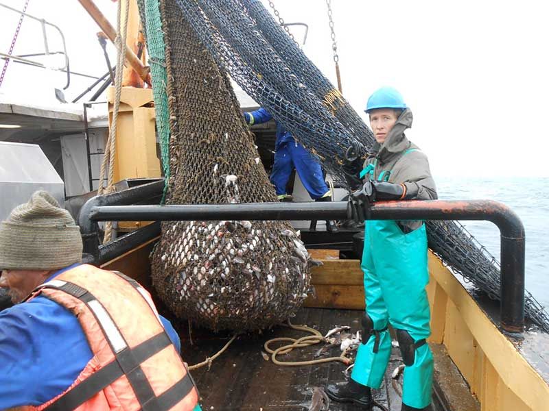 Trawl Net Recreation