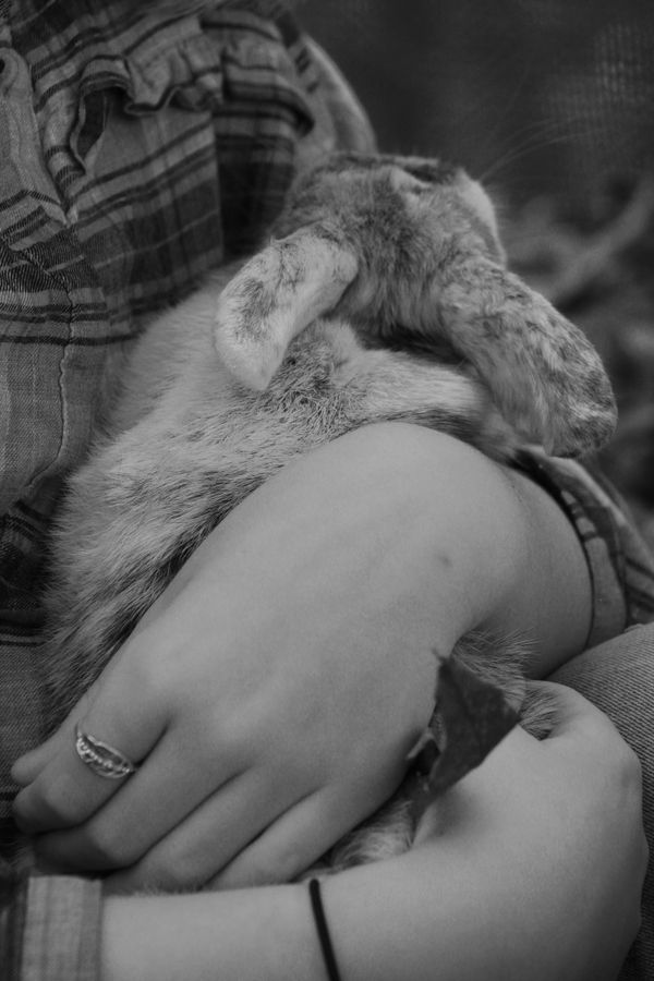 Little girl with her bunny. thumbnail