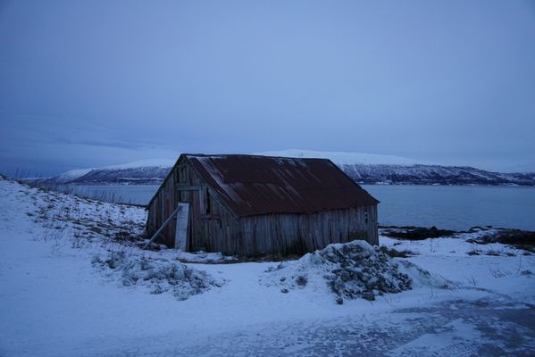 A Rustic Barn withstanding the Bitter Cold North of the Arctic Circle. thumbnail