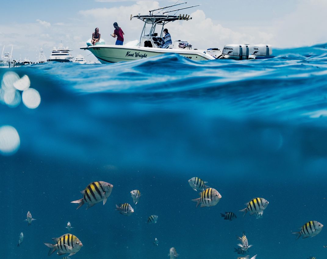 A group of people fish off a boat while yellow-striped fish swim in the waters below.