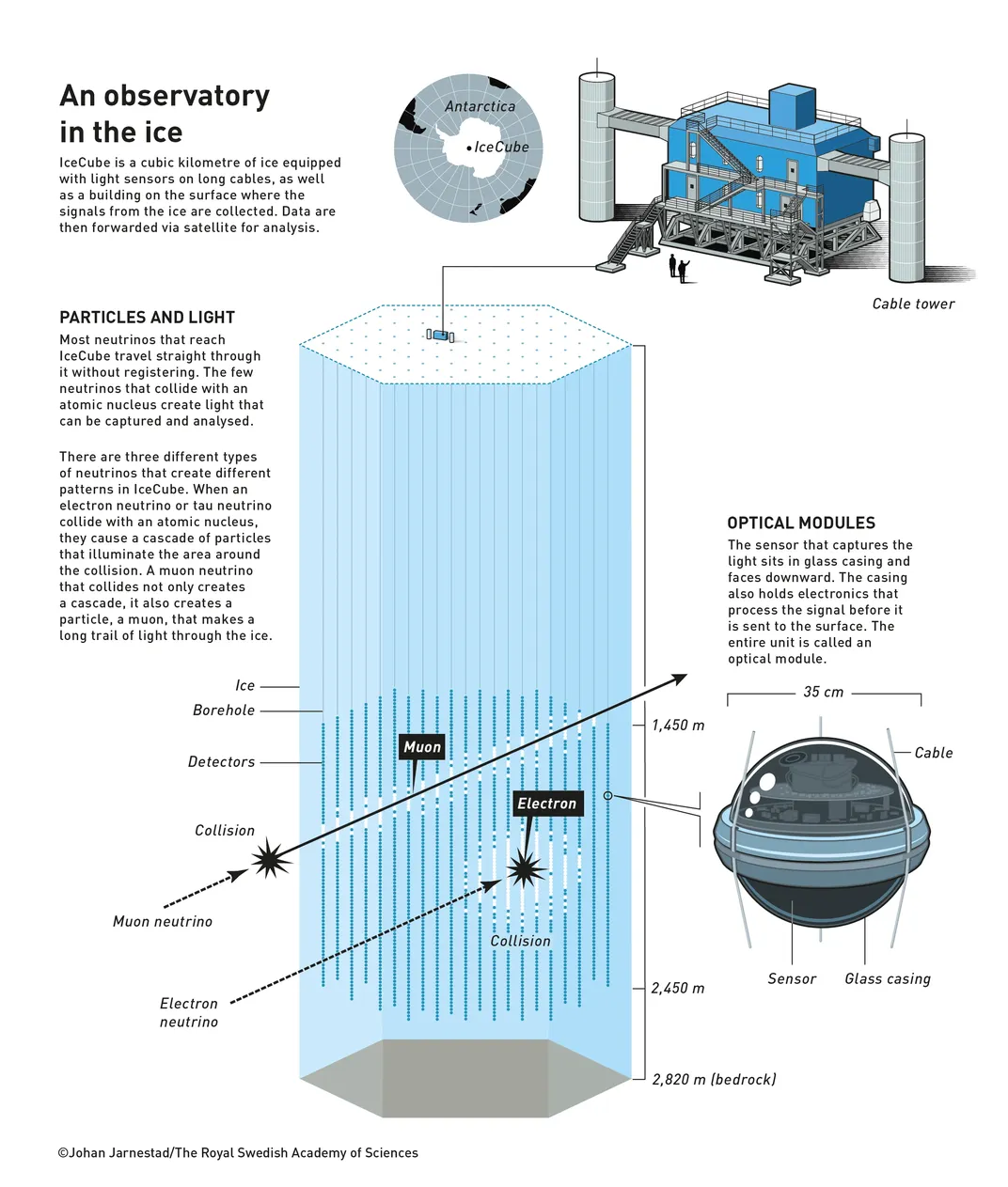 diagram of IceCube