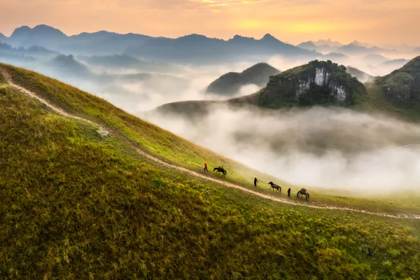 Misty dawn at Ba Quang’s burnt-grass hill thumbnail