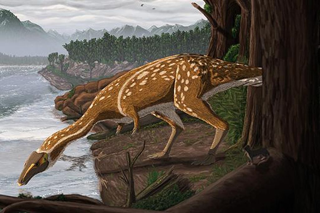 Elaphrosaur