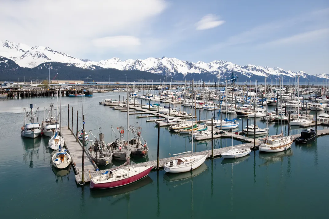 The marina at Seward