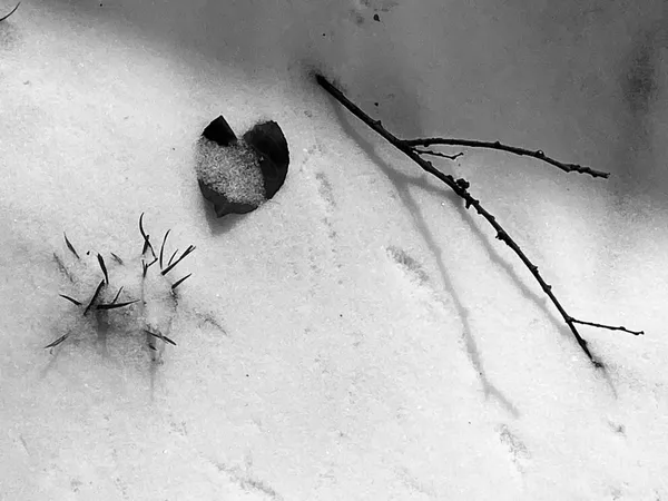 Heart of Winter thumbnail