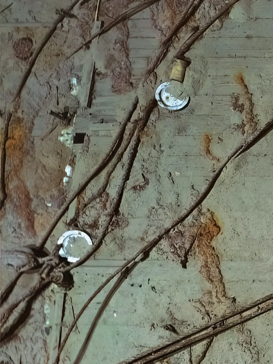 Dishes amid underwater shipwreck debris