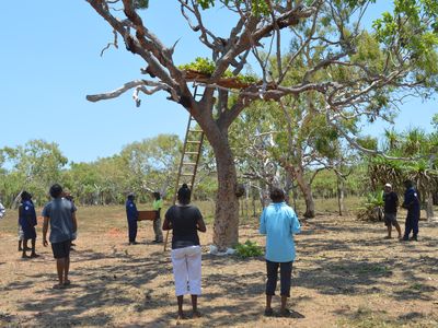 The Dampier Peninsula reburial on November 20, 2015, was part of the RRR project.
