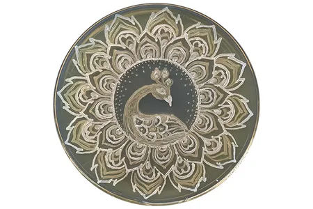 Balaram Khamari's “Microbial Peacock” won second place in the traditional category in the 2020 American Society for Microbiology Agar Art Contest.