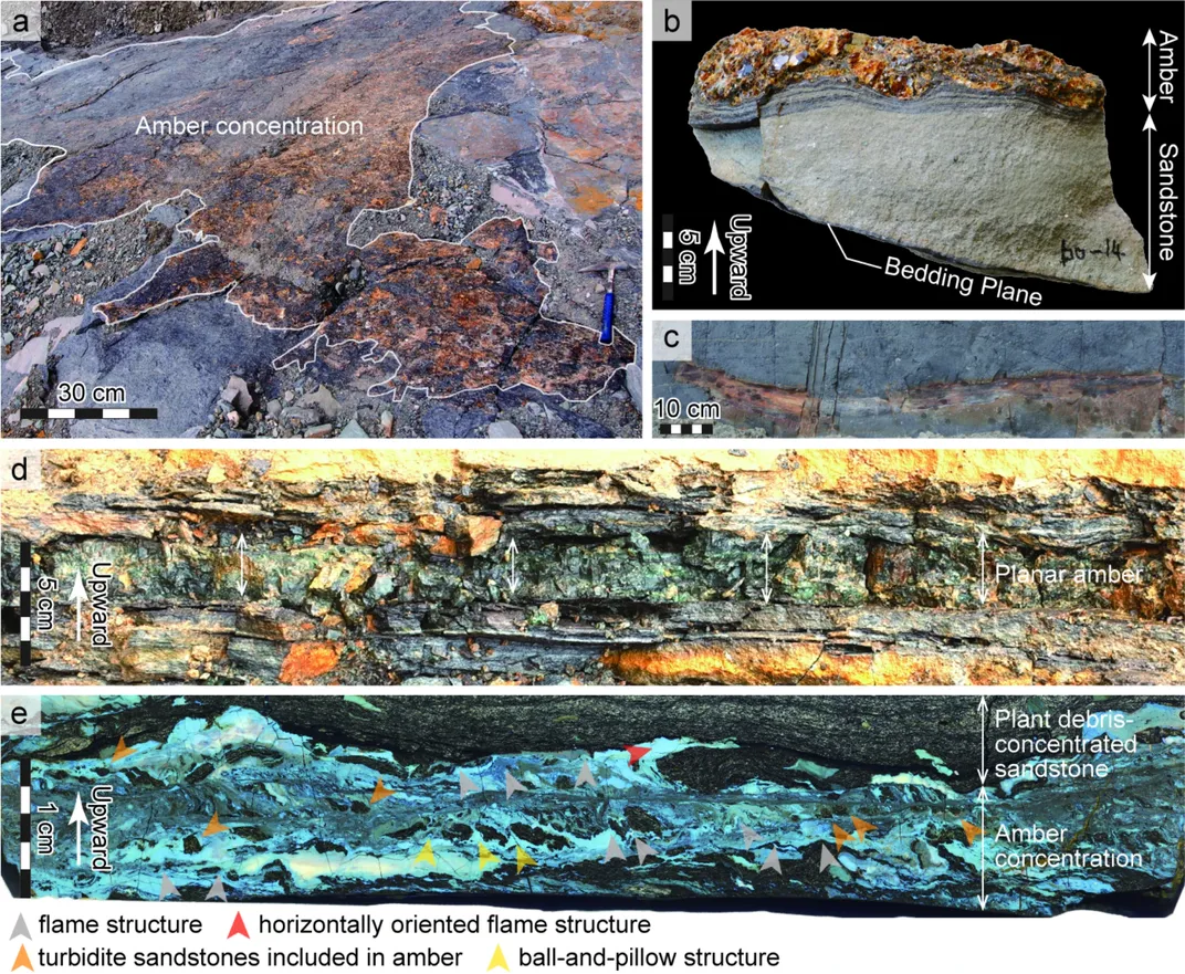a figure from the paper shows amber deposits and a sandstone rock with amber on top