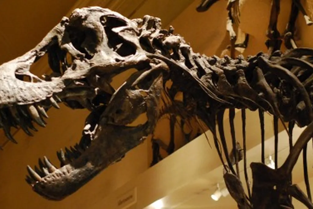 20120413021021tyrannosaurus-thumb.jpg