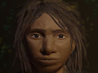This image shows a preliminary portrait of a juvenile female Denisovan based on a skeletal profile reconstructed from ancient DNA.

