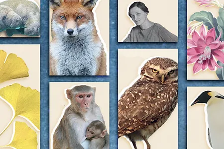 Monitor local animal populations, identify plants, transcribe women astronomers' notes, bird-watch and more.