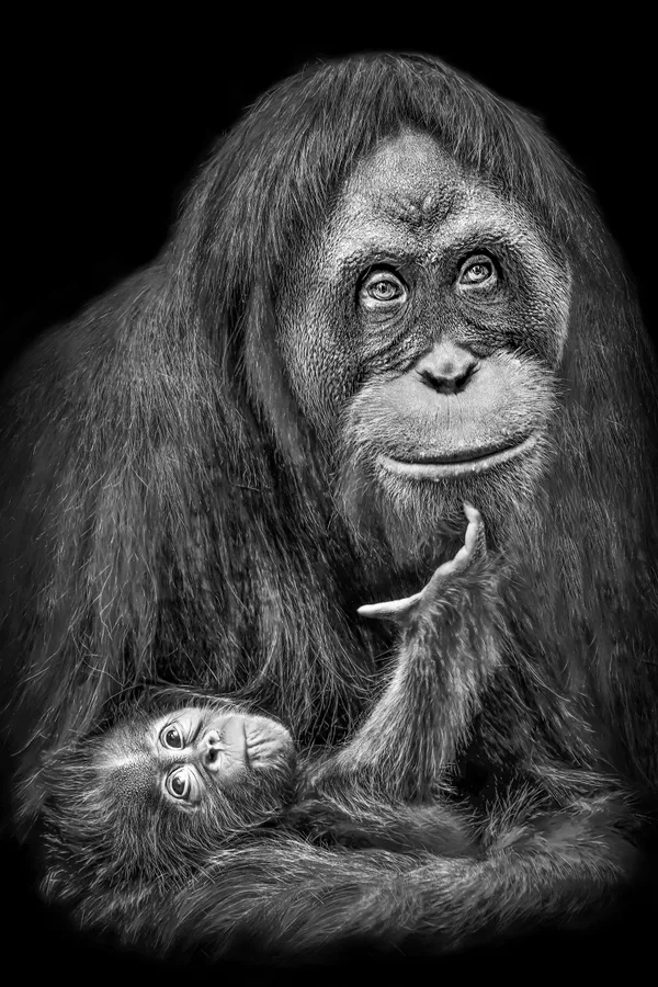 Mother And Baby thumbnail