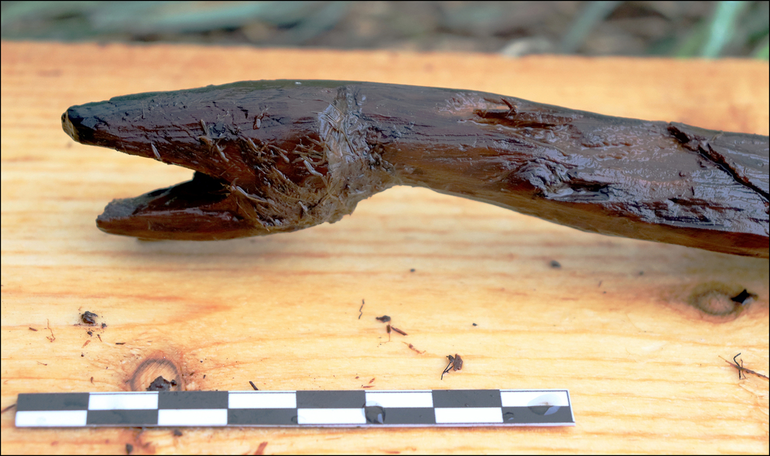 4,000-Year-Old 'Snake Staff' Discovered in Finland | Smart News|  Smithsonian Magazine