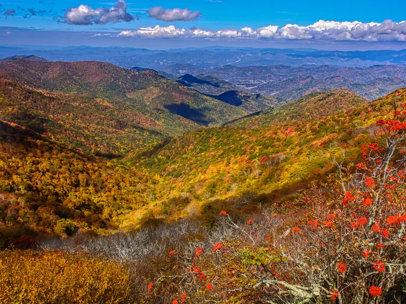 Fall Colors, Blue Ridge Parkway, North Carolina Smithsonian Photo