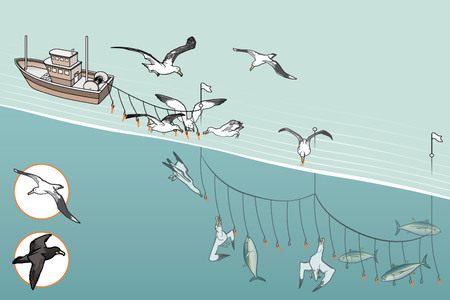 Small fixes can keep birds from being snagged by fishing lines, which also helps fishing vessels not lose bait to the flying foragers.