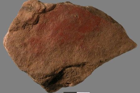 Researchers discovered a red ochre- and milk-based paint on a stone flake from 49,000 years ago.