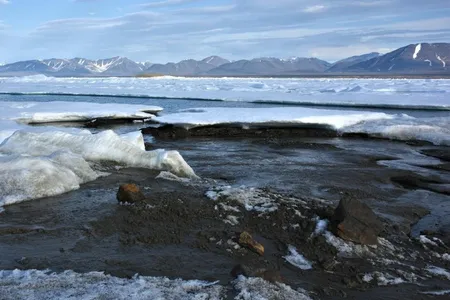 The yet-to-be-named island was likely formed when ice bulldozed seabed mud up above the water's surface during a storm.


