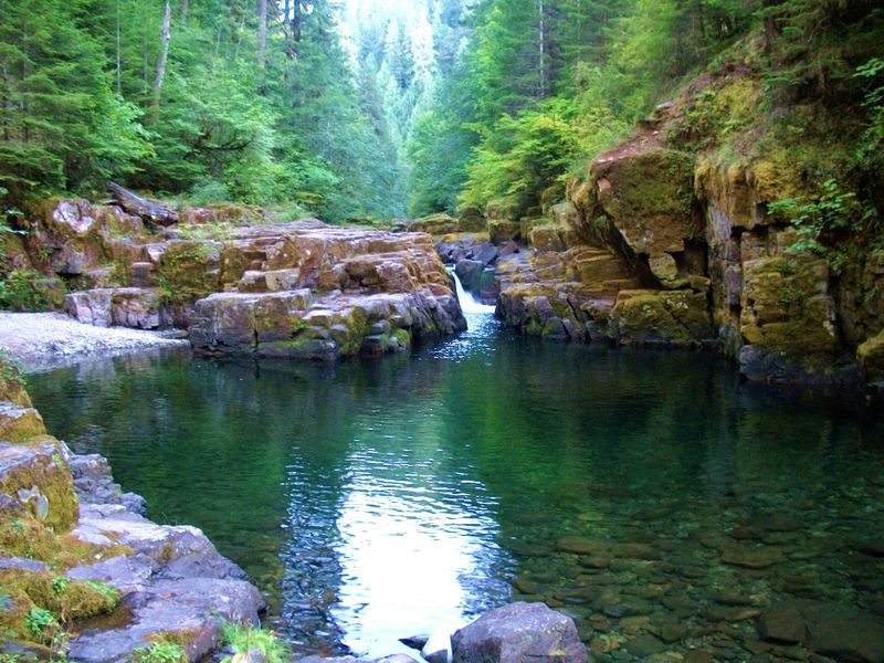 Brice Creek Falls, Willamette National Forest, Oregon, September 12th ...