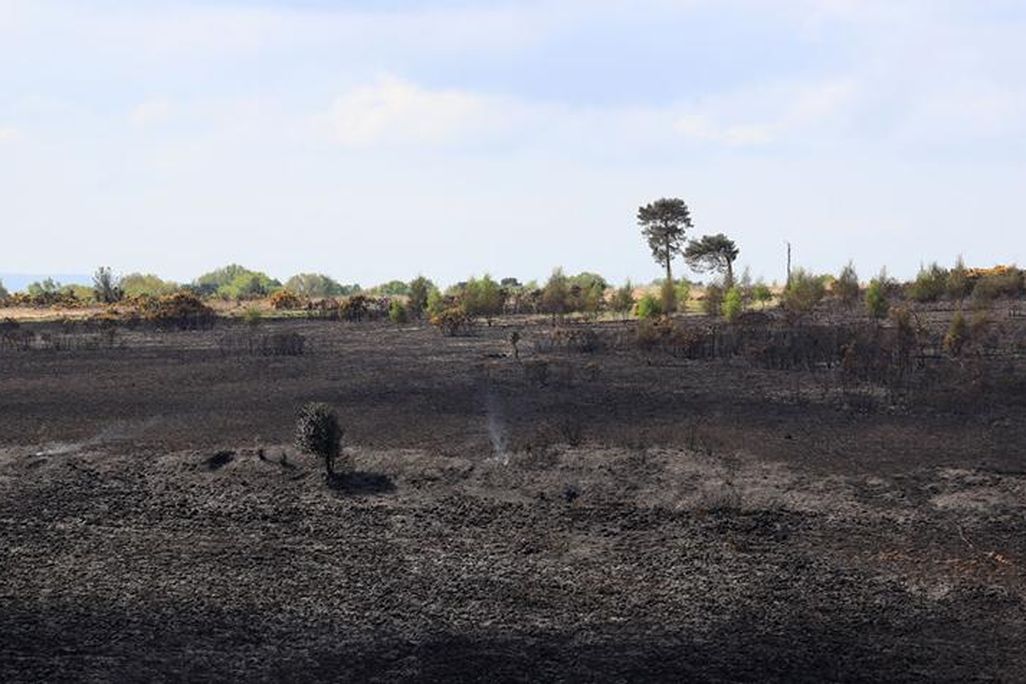 Ashdown forest fire.jpg