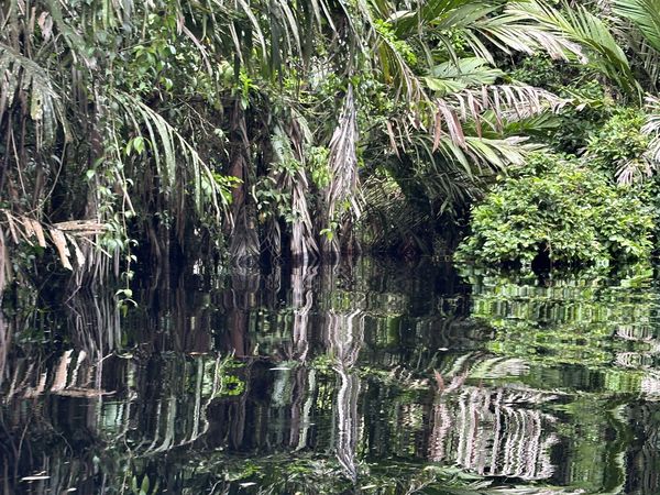 Reflections of Costa Rica thumbnail