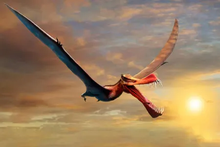 In addition to its school-bus-length wingspan, the creature had a three-foot-long skull with a pointed snout and around 40 sharp teeth. 