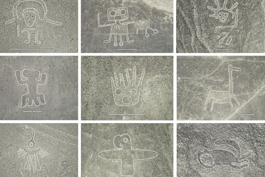 Nine of the newly discovered drawings
