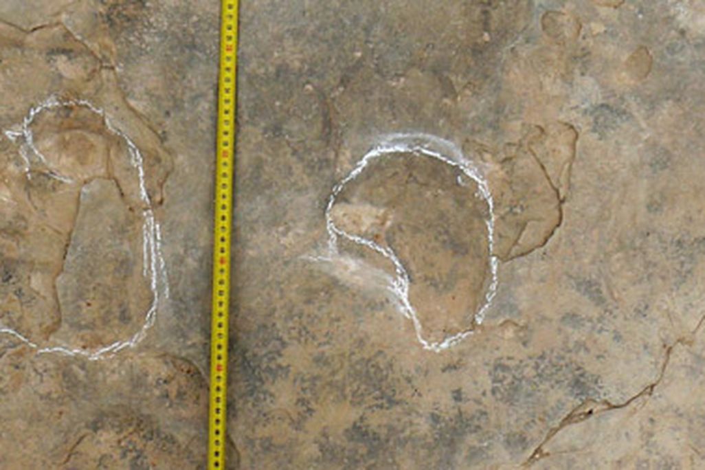 Part of a sauropod trackway from the Teruel, Spain tracksite