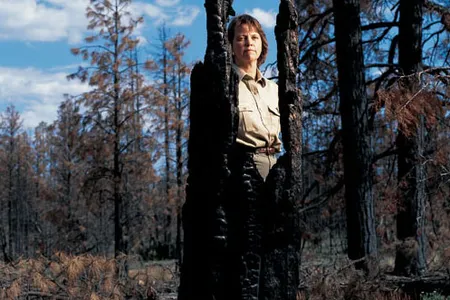 Legal challenges from environmental groups over a two-year period stymied the efforts of ranger Kate Klein (a mile from her station) to thin a forest tract by commercial logging. A catastrophic fire broke out just days after she prepared a final rebuttal.