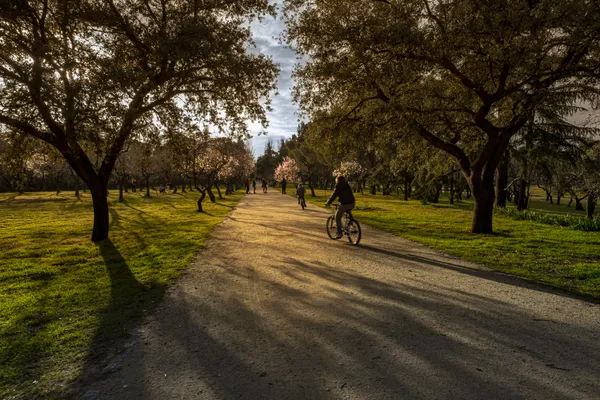 Quinta de los Molinos in Madrid Bloom thumbnail