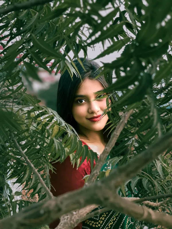 “Through the Leaves” thumbnail